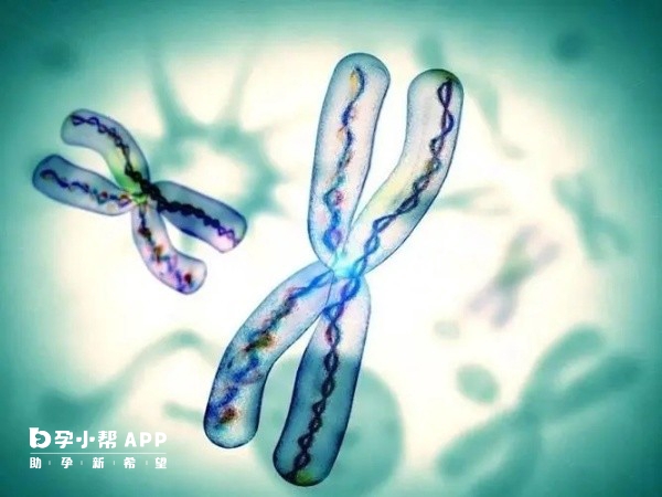月经期间性生活会有什么影响吗 月经期间性生活有没有影响